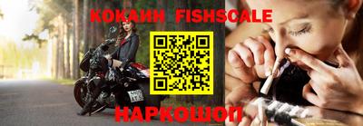 дмт Гатчина