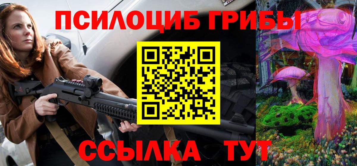 Псилоцибиновые грибы Psilocybe Балахна