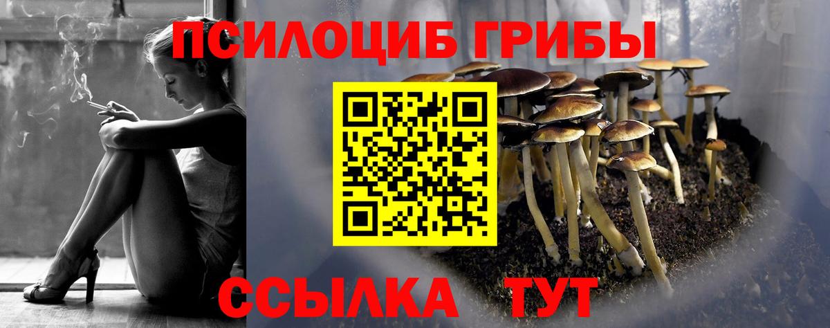 Балахна  Псилоцибиновые грибы ЛСД  Вход с VPN 